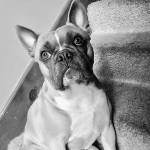 Meet your Posher, Marcena